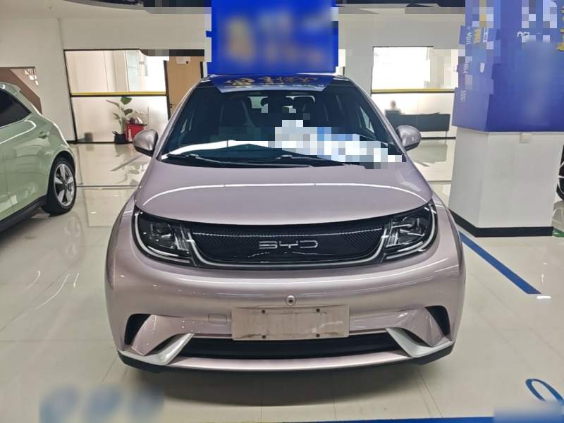 Used BYD Dolphin 2021 405 km Fashion Edition — 2
