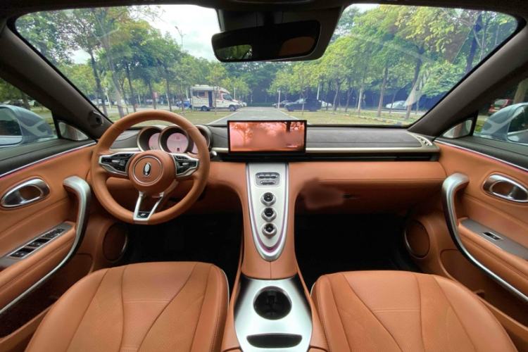 Used ORA Lightning Cat 2022 555 km Luxury Edition Interior 1