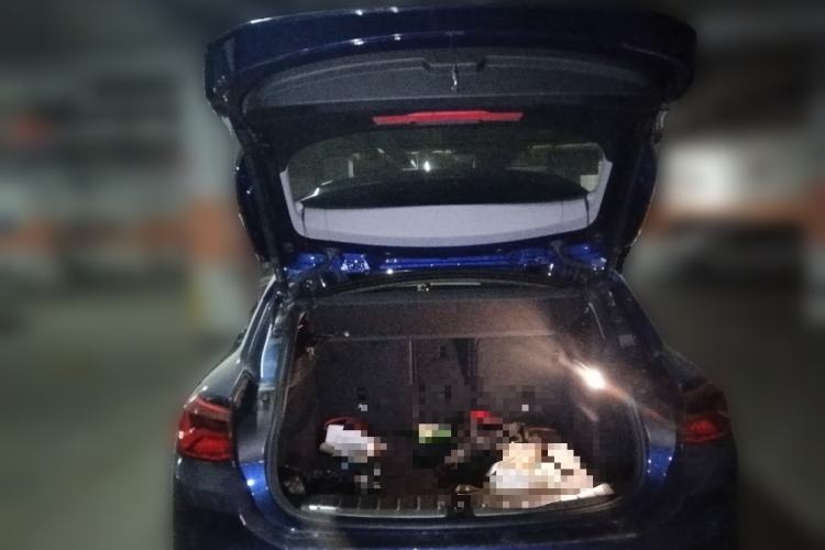 Used BMW X2 2020 sDrive20i M Sport Package Trunk