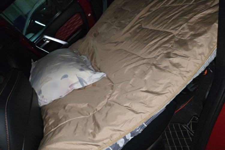 Used BAIC Off-Road BJ40 2019 2.0T Automatic Four-Wheel Drive Urban Hunter Edition Premium Model China V Emission Standard Left Rear Seat