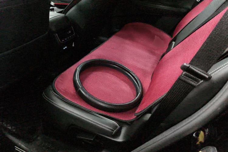 Used GAC Trumpchi GS8 2022 Linghang Series 2.0 TGDI Two-Wheel-Drive Luxury Smart Connectivity Version (7 Seats) Left Rear Seat