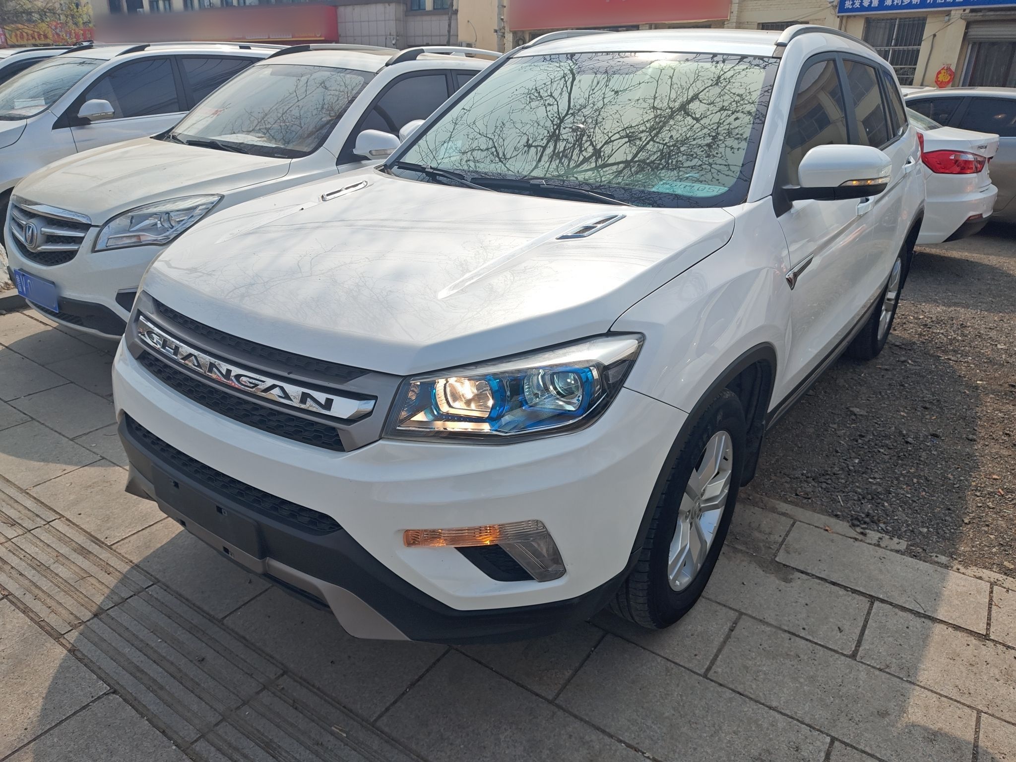 Parte inferior delantera