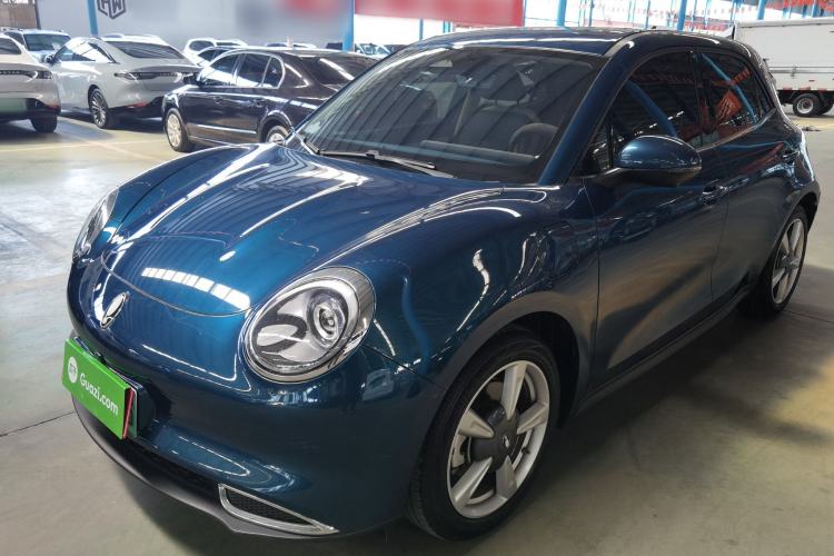 Used ORA Good Cat 2022 500 km Long-Range Luxury Version Lithium-NMC