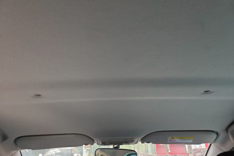 Used SOL E10X 2022 Flower Fairy Design Four-Leaf Clover
