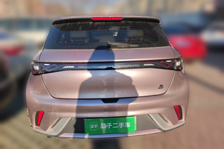 Used BYD Dolphin 2023 420 km Free Version Rear