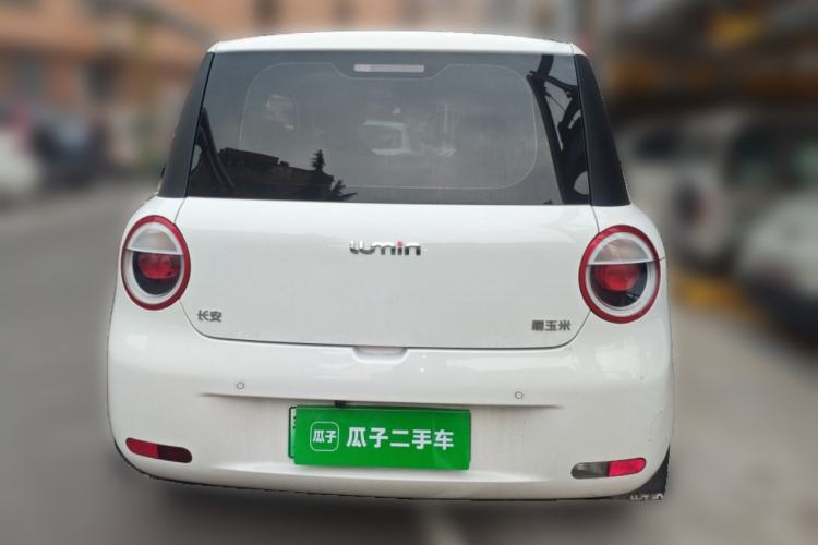 Used Qiyuan Lumin 2025 301km Honey Dew Edition