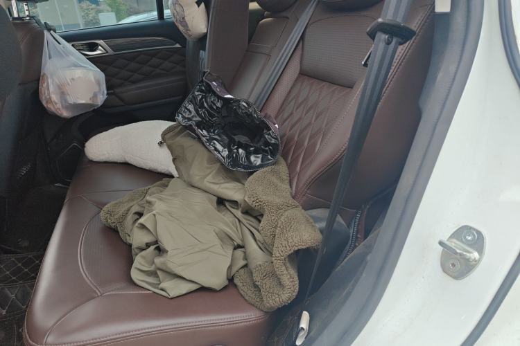 Used Haval H9 2020 2.0T Gasoline 4x4 Luxury 7-Seater Left Rear Seat