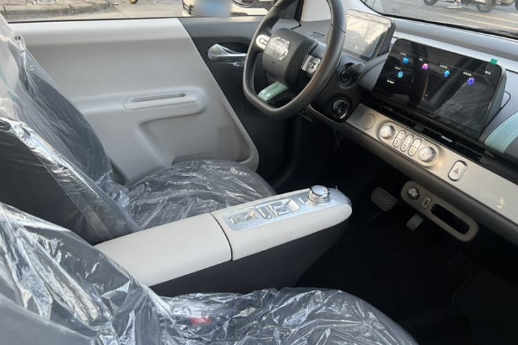 Used Qiyuan Lumin 2025 205 km Xiangqin Version
