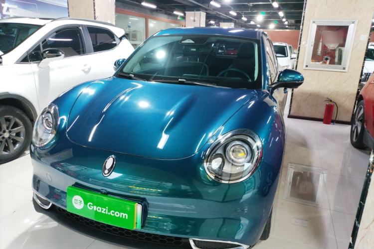 Used ORA Good Cat 2024 401 km Luxury Version