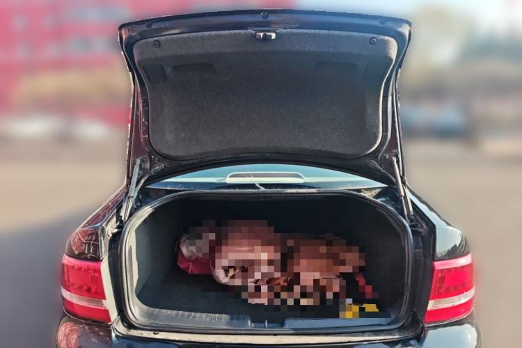 Used Volkswagen Passat 2009 1.8T Manual Luxury Edition Trunk