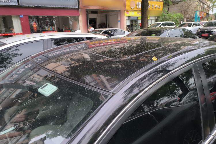 Used Nissan Sylphy 2019 1.6XV CVT Smart Connect Luxury Edition China VI Standard Roof