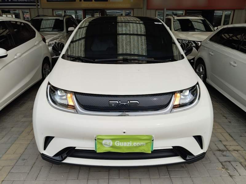 Used BYD Dolphin 2023 420 km Fashion Edition — 2