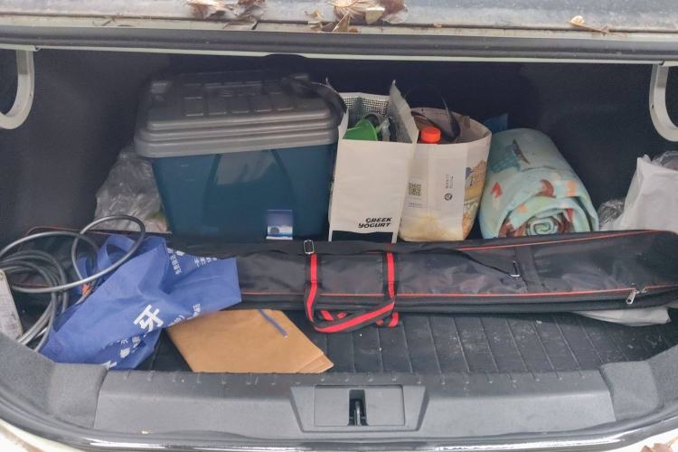 Used Geely Auto Emgrand New Energy 2017 EV300 Elite Model
