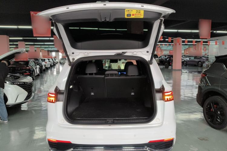 Used Geely Auto Monjaro L 2024 2.0TD High-Power Automatic Two-Wheel Drive Skyline Edition
