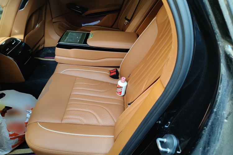 Used Hongqi H9 2025 2.0T Two-Wheel Drive Flagship Luxury Business Edition 5 Seats Left Rear Seat