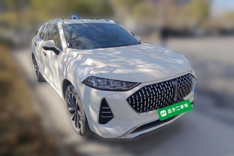 Used Wey Mocha 2021 2.0T Two-Wheel Drive Special Edition