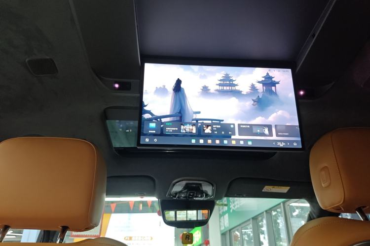 Used Wey Gaoshan 2025 Four-Wheel Drive Alpine 9 Headliner