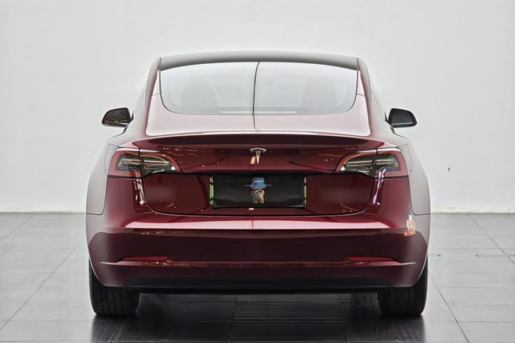 Used Tesla Model 3 2022 Rear-Wheel-Drive Version Exterior 12