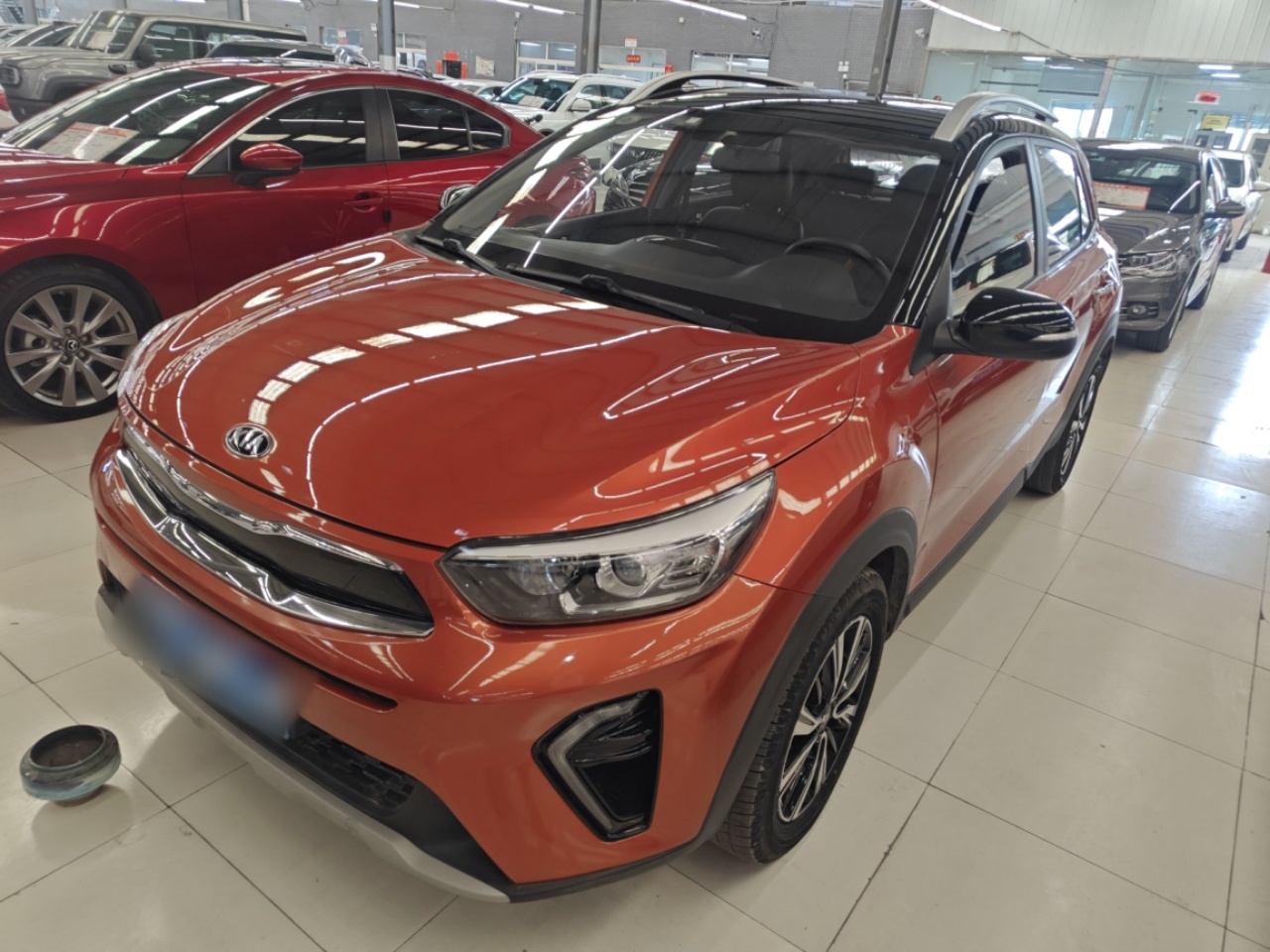 تحت مقدمة السيارة