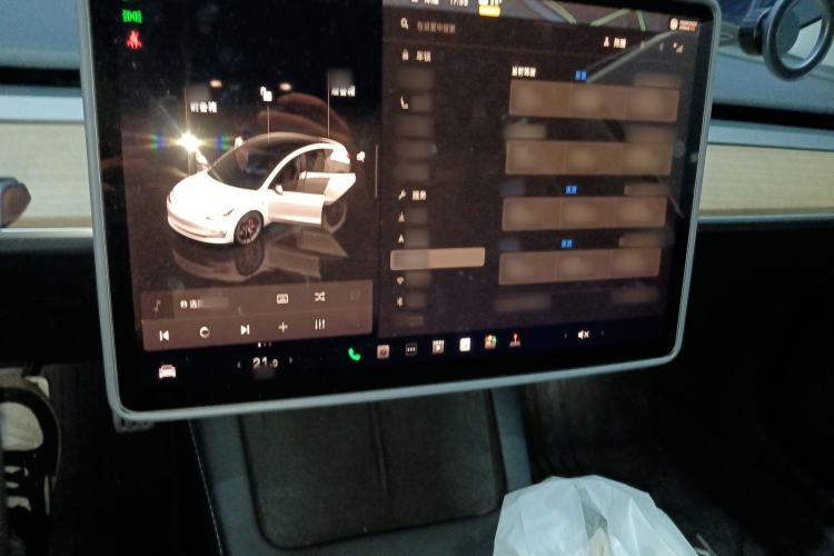 Used Tesla Model 3 2022 Performance High-Performance All-Wheel-Drive Version