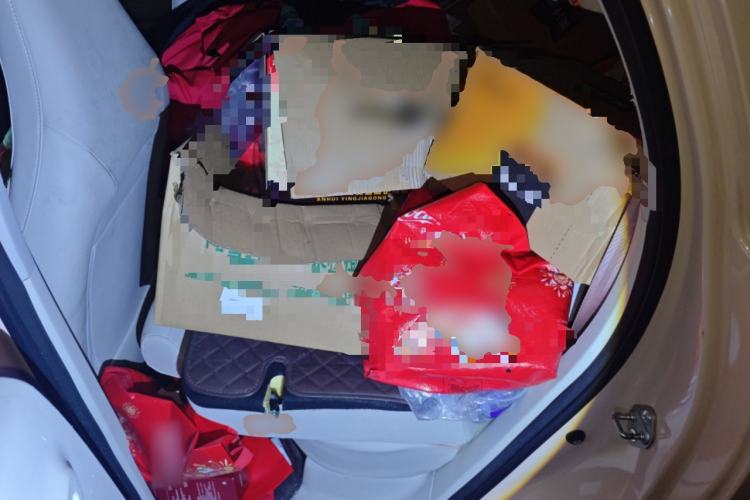 Used Leapmotor T03 2023 200 Lite Edition Left Rear Seat