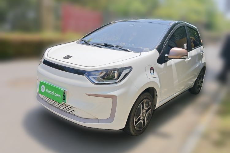 Used SOL E10X 2022 Flower Fairy Design Four-Leaf Clover