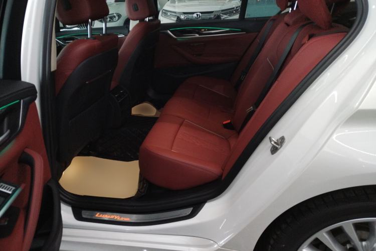 Used BMW 5 Series 2021 Updated Version 525Li Luxury Package
