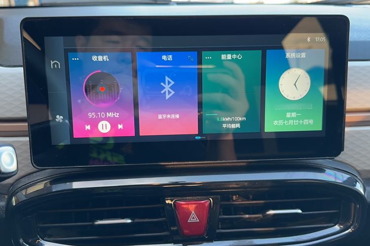 Used SOL E10X 2022 Flower Fairy Design Dandelion
