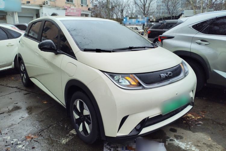 Used BYD Dolphin 2025 420km Free Edition