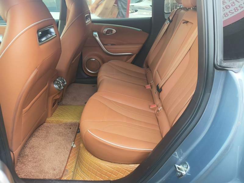 Used ORA Lightning Cat 2022 555 km Luxury Edition – Premium — 16