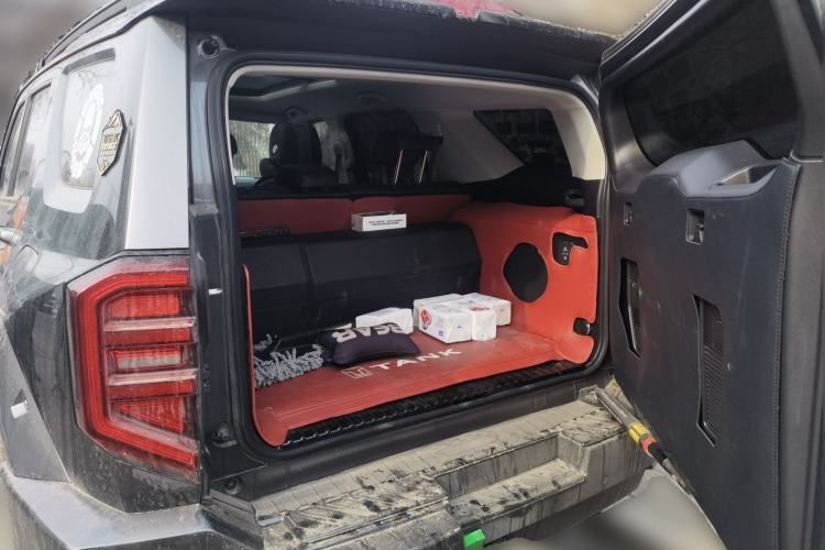 Used Tank 400 New Energy 2024 Hi4-T City Edition
