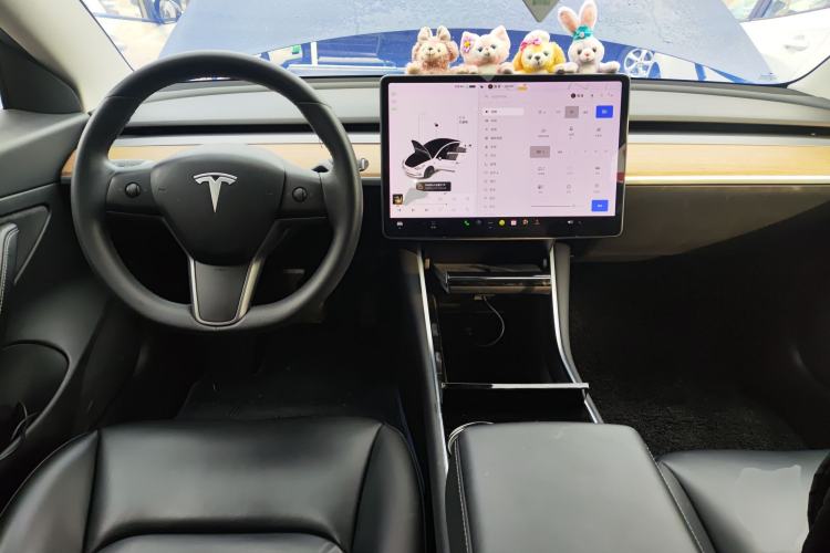 Used Tesla Model 3 2020 Standard Range Rear-Wheel Drive Upgraded Version