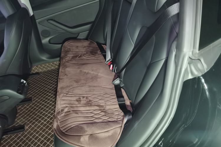 Used Tesla Model 3 2022 Rear-Wheel-Drive Version Left Rear Seat