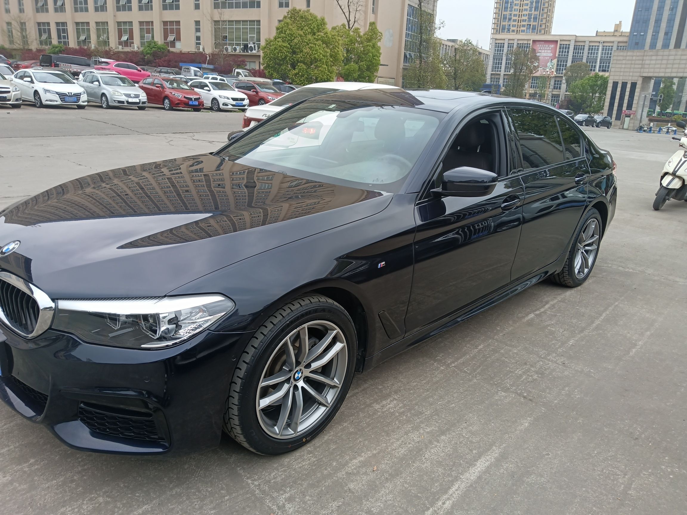 Parte inferior delantera