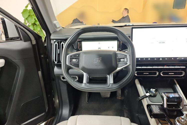 Used JETOUR Shanhai Shanhai T1 2025 150 km to the Lake