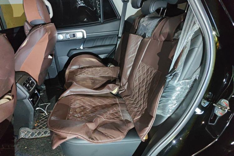 Used Tank 400 2025 2.0T Gasoline Version
