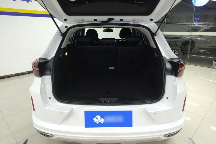 Used EXEED Zhuifeng 2024 1.5T CVT Goodies Peanut Edition