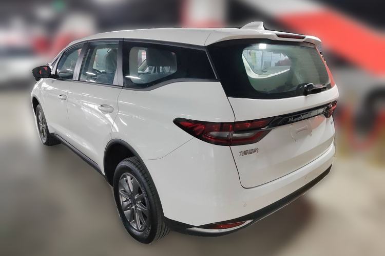 Used Livan Maple 80V 2021 Youtong Edition Ternary Lithium
