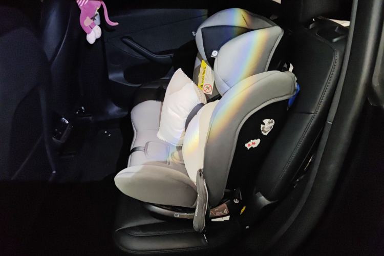 Used Tesla Model Y 2024 Rear-Wheel-Drive Version Left Rear Seat