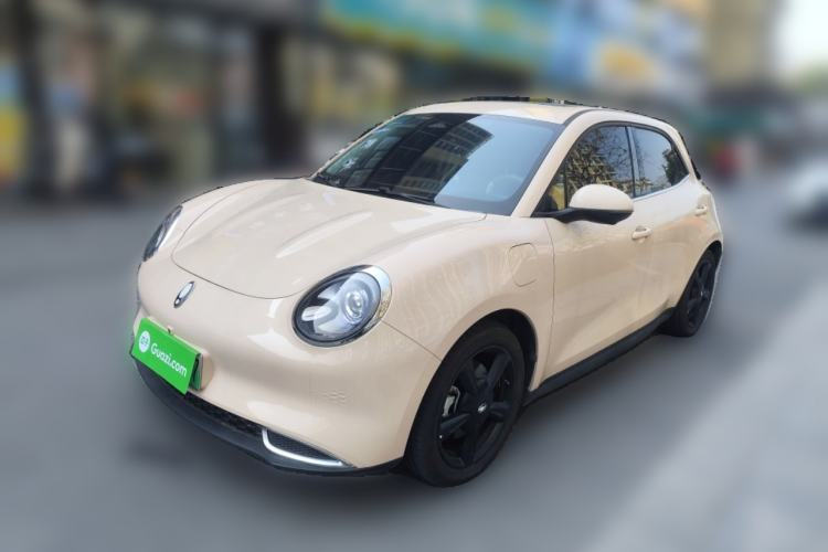 Used ORA Good Cat 2024 401 km Luxury Version