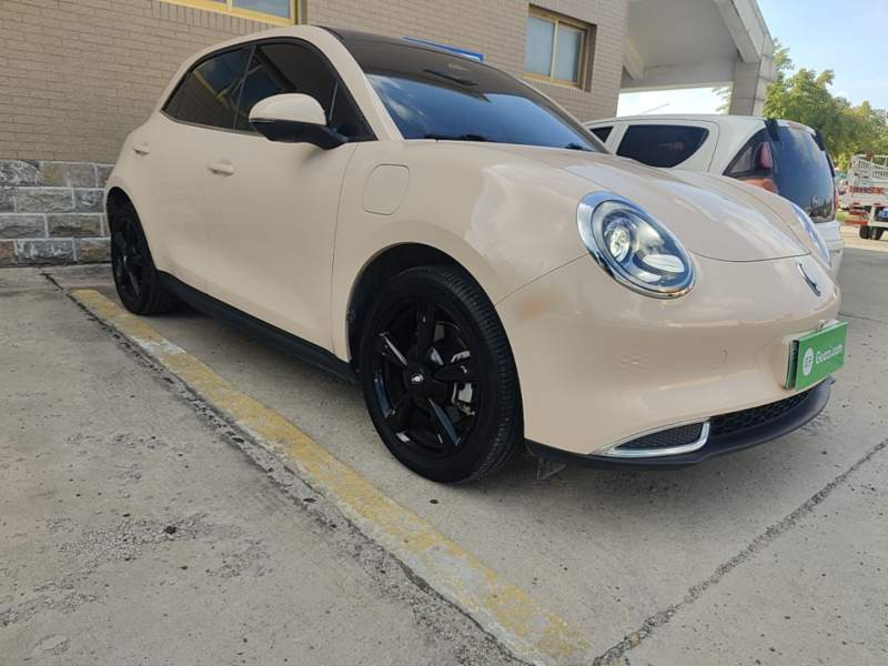 Used ORA Good Cat 2024 401 km Luxury Version — 3