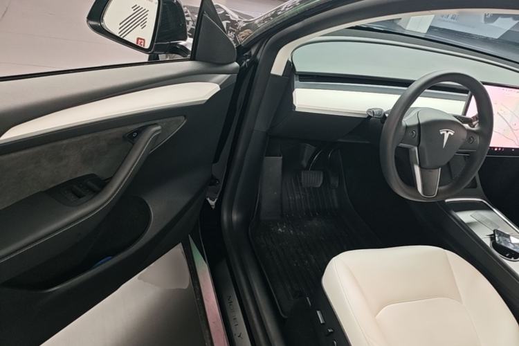 Used Tesla Model Y 2021 Standard Range Rear-Wheel Drive Version
