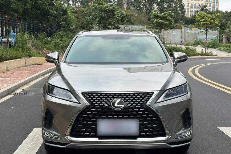 Used Lexus RX 2020 Revised Version 300 Two-Wheel Drive Elite Edition Exterior 1