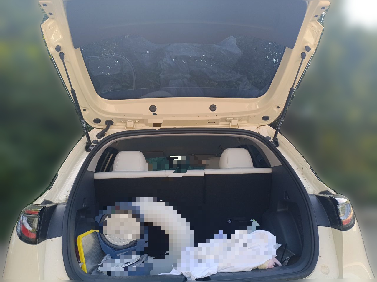 Geely Galaxy Geome 2026 Model 310km Youth Edition — снимка 14