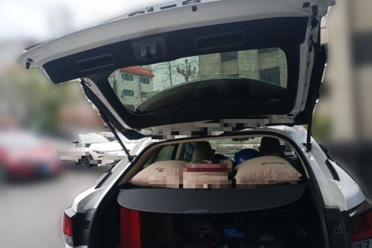 Used Lexus RX 2020 Revised Version 300 Two-Wheel Drive Elite Edition