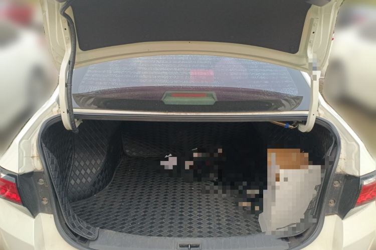 Used Venucia D60 2019 100 000 Glory 1.6L XL Manual Chenku Edition China VI
