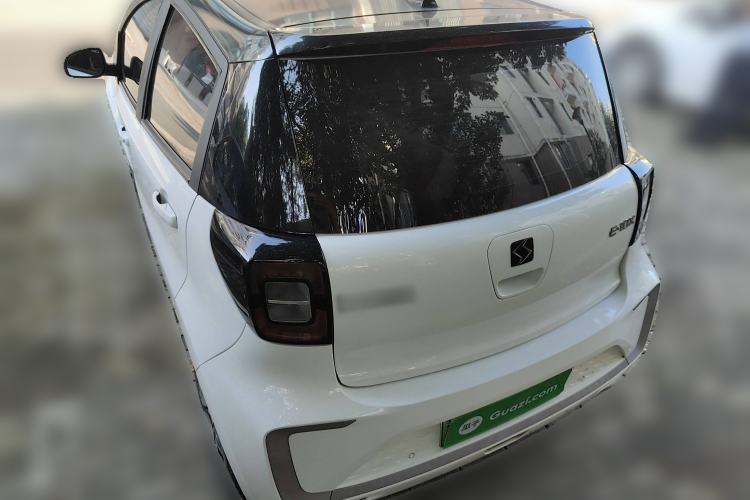 Used SOL E10X 2022 Flower Fairy Style Baby's Breath
