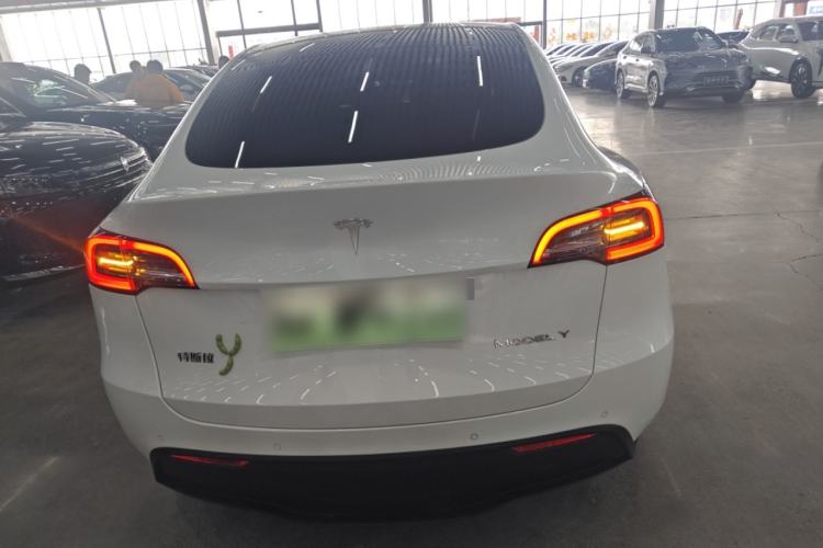 Used Tesla Model Y 2021 Standard Range Rear-Wheel Drive Version
