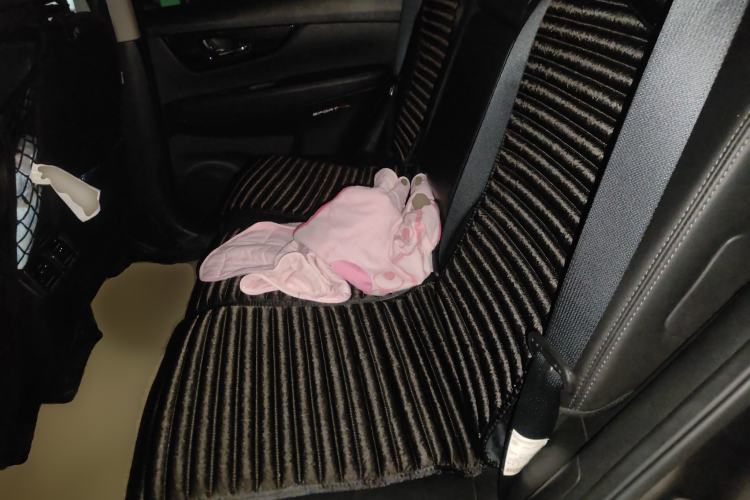 Used Nissan X-Trail 2019 2.5L CVT Smart Connect Luxury Edition 4WD Left Rear Seat