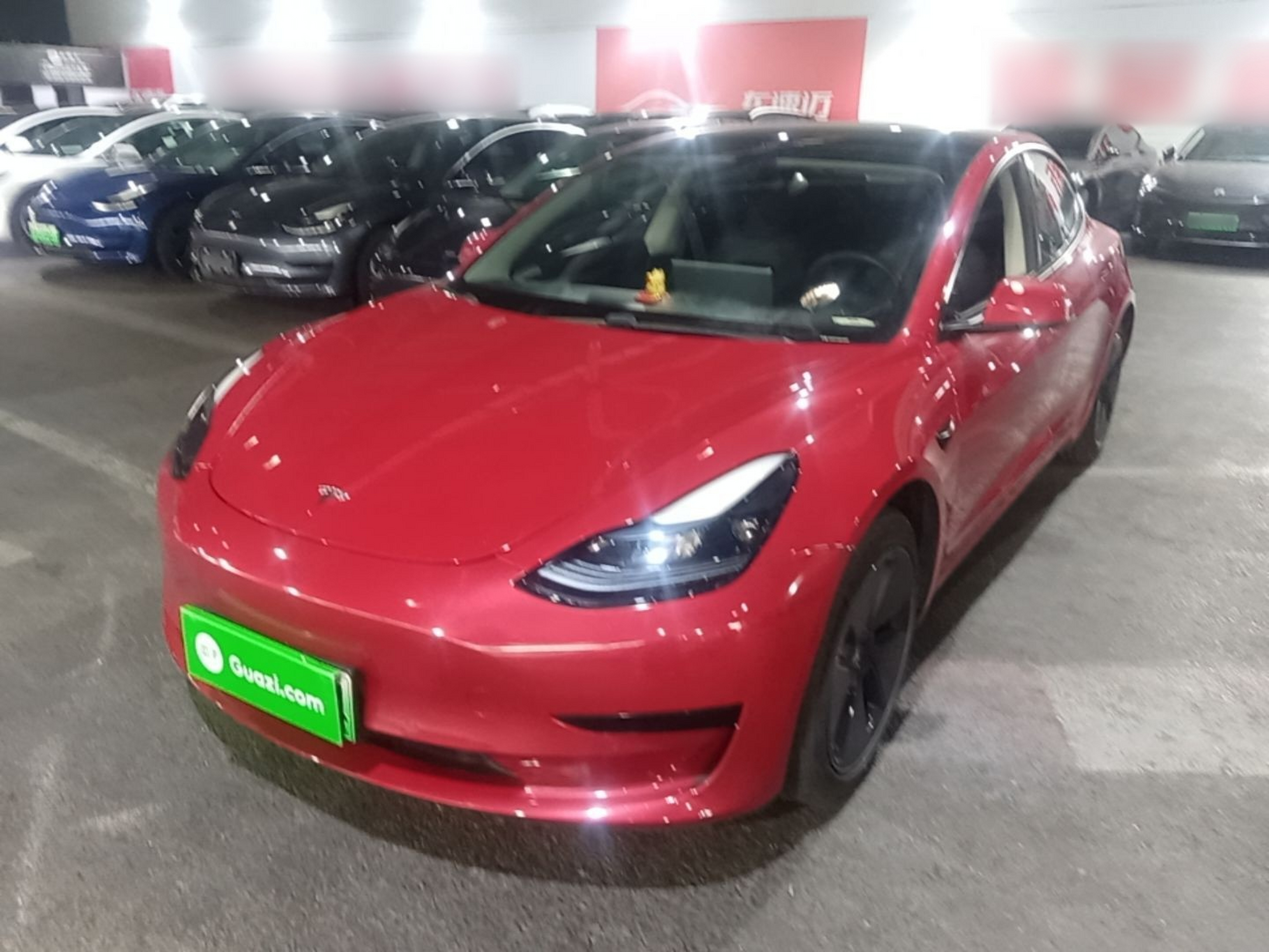 Parte inferior delantera